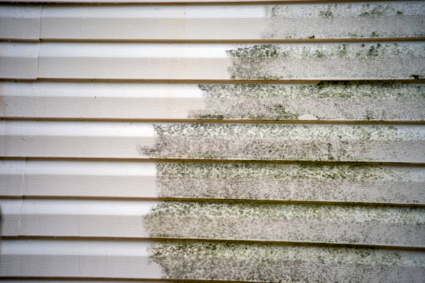 Best Mattress Disposal  in Northwood, OH