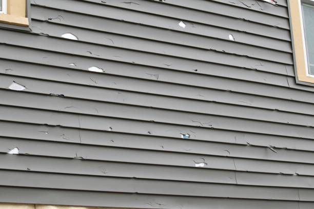 Best Demolition Debris Removal  in Northwood, OH